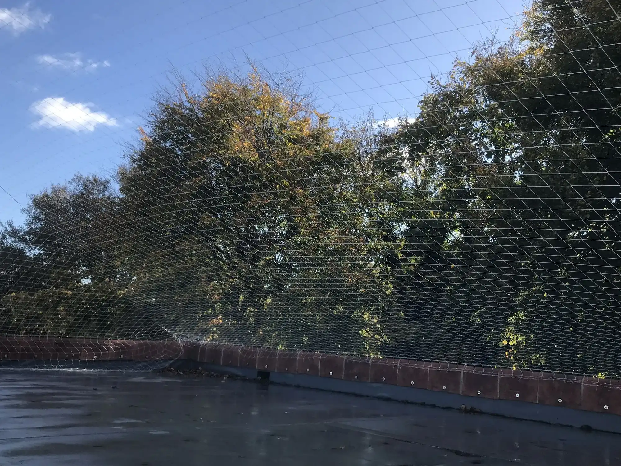 A fenced in area with trees in the background.