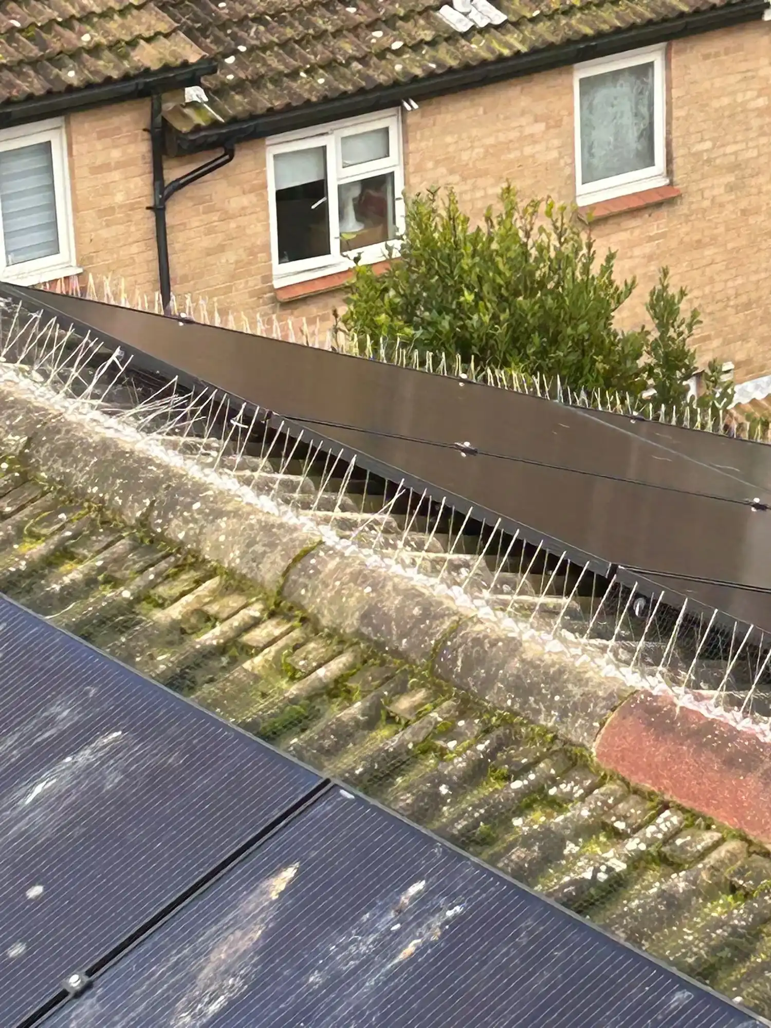 A roof that has some kind of thing on it.